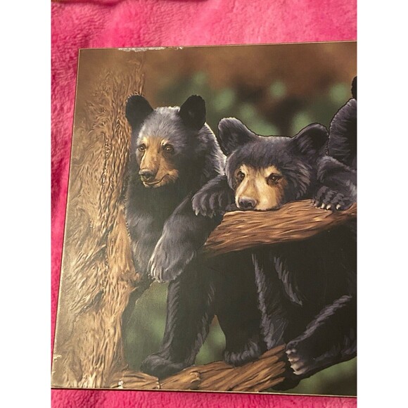 Wooden Box  Bear Family Nature Scene Keepsake Gift Quote Love Notes Bronson MO - Picture 13 of 14